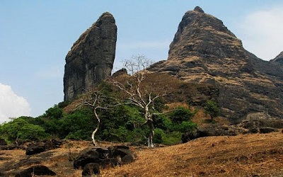 Trek 2 - Photo 1