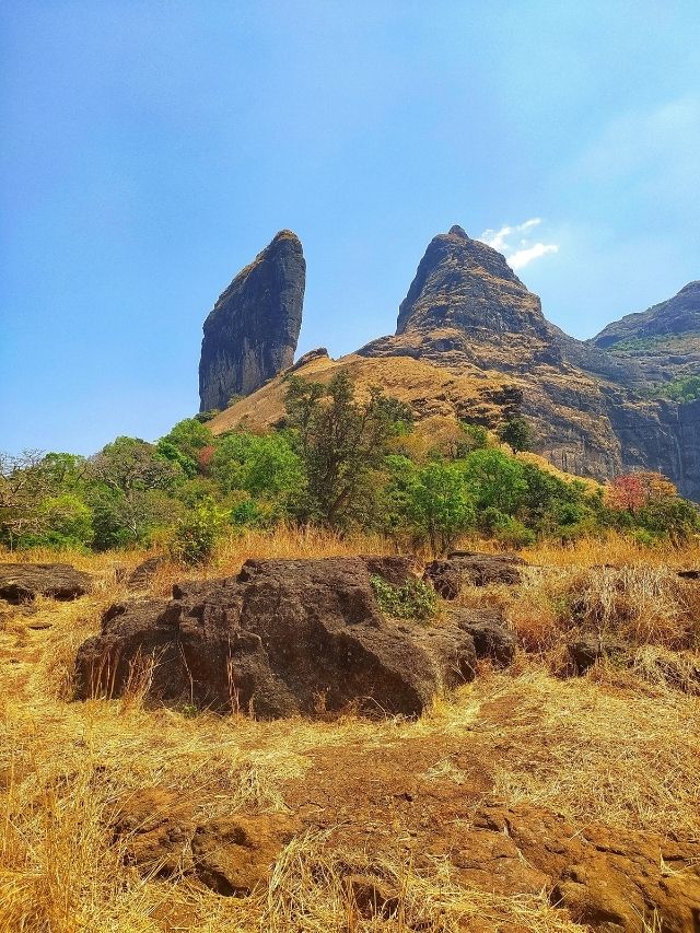Trek 1 - Photo 2